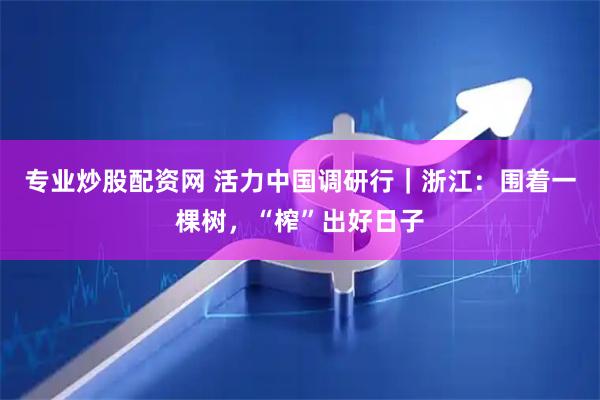 专业炒股配资网 活力中国调研行｜浙江：围着一棵树，“榨”出好日子