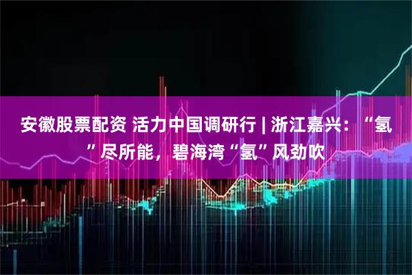 安徽股票配资 活力中国调研行 | 浙江嘉兴：“氢”尽所能，碧海湾“氢”风劲吹