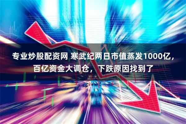 专业炒股配资网 寒武纪两日市值蒸发1000亿，百亿资金大调仓，下跌原因找到了